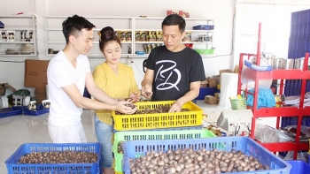 Khát vọng chế biến từ các sản phẩm nông nghiệp