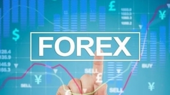 Cảnh báo chiêu lừa đảo của các sàn forex
