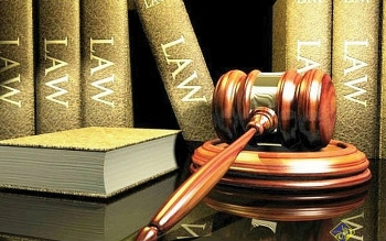 Những chính sách mới có hiệu lực từ tháng 12/2020