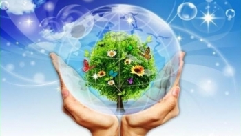 Việt Nam đóng góp cho Quỹ Khí hậu xanh 1 triệu USD