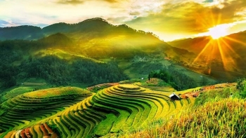 Mù Cang Chải từ A-Z cho tín đồ đam mê du lịch