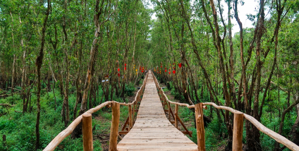 Du lịch đến An Giang mùa nước nổi