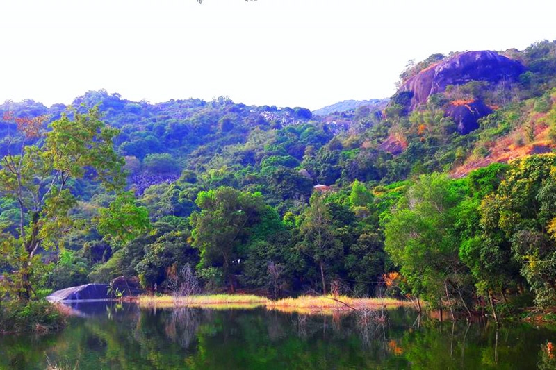 Du lịch đến An Giang mùa nước nổi