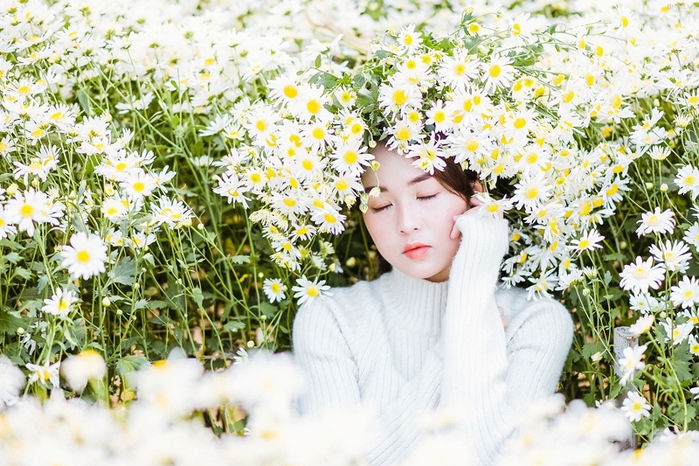 Check-in với Cúc hoạ mi tại Vườn hoa Nhật Tân