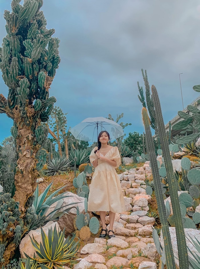 Những địa điểm check in sống ảo tại Hà Nội: Ấn tượng với vườn xương rồng Cacti Zone