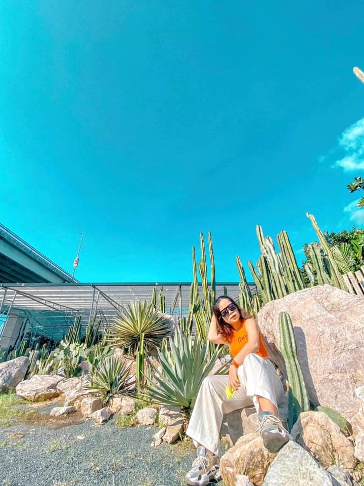 Những địa điểm check in sống ảo tại Hà Nội: Ấn tượng với vườn xương rồng Cacti Zone