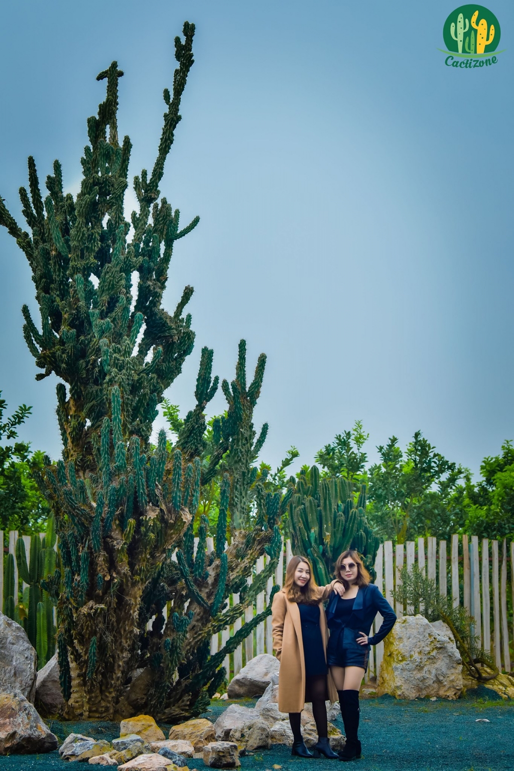 Những địa điểm check in sống ảo tại Hà Nội: Ấn tượng với vườn xương rồng Cacti Zone