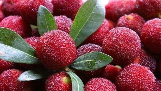 5 loại trái cây giữ dáng, đẹp da cho bạn gái