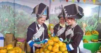 Hà Nội diễn ra tuần lễ quýt ngọt biên giới Mường Khương