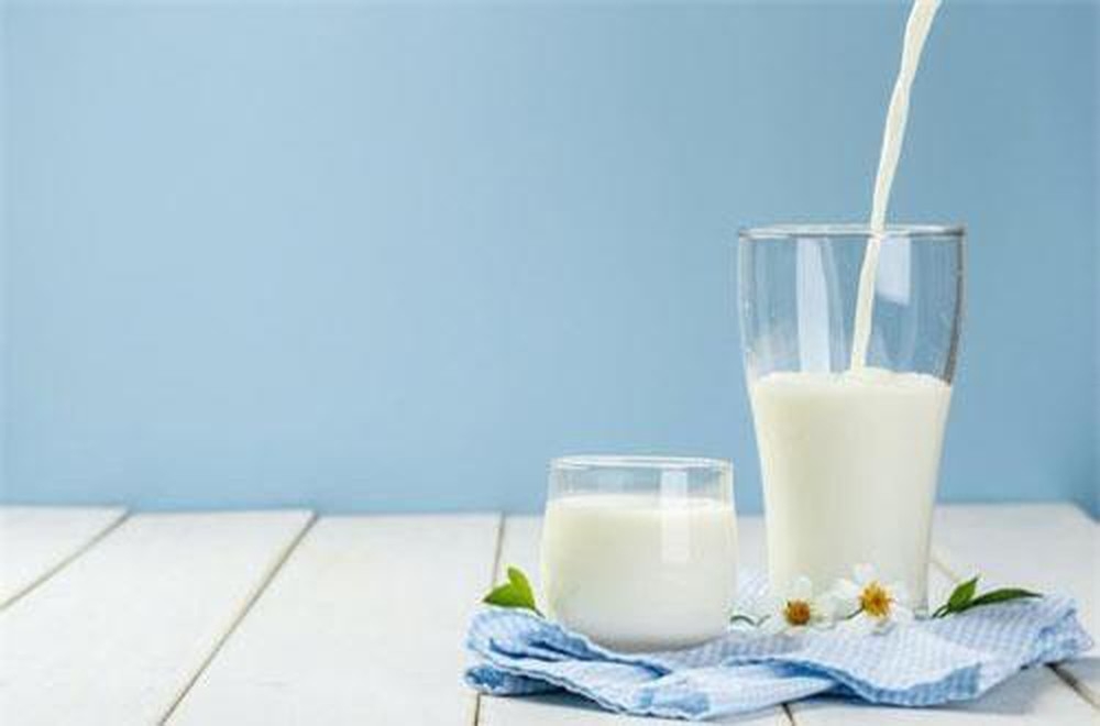 Sữa tươi giúp giải rượu bia hiệu quả