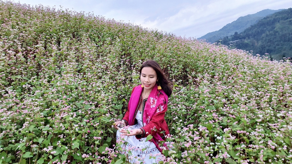 Loài hoa của cao nguyên giản dị nhưng vẫn cuốn hút 