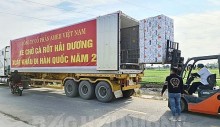 Hải Dương: Lô cà rốt đầu tiên năm 2022 ‘lên đường’ sang Hàn Quốc Hải Dương: Lô cà rốt đầu tiên năm 2022 ‘lên đường’ sang Hàn Quốc
