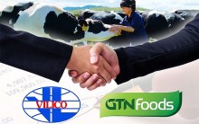 250 triệu cổ phiếu GTN (GTNFoods) sẽ hủy niêm yết trên sàn HOSE từ ngày 8/3
