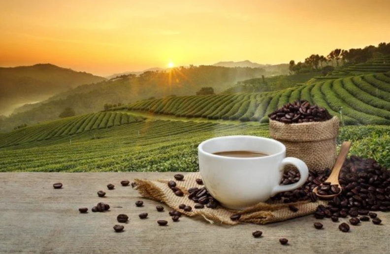 Giá cà phê và hồ tiêu ngày 4/5: Cà phê bật tăng, hồ tiêu đứng yên