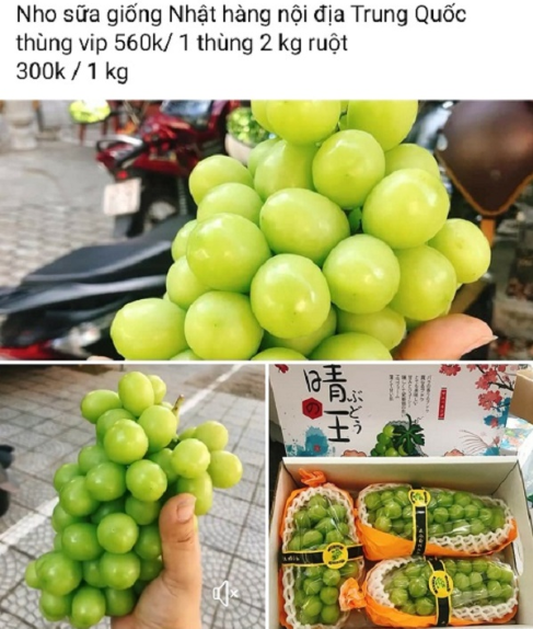 Nho sữa Trung Quốc đổ bộ, loạn giá trên chợ mạng Nho sữa Trung Quốc đổ bộ, loạn giá trên chợ mạng