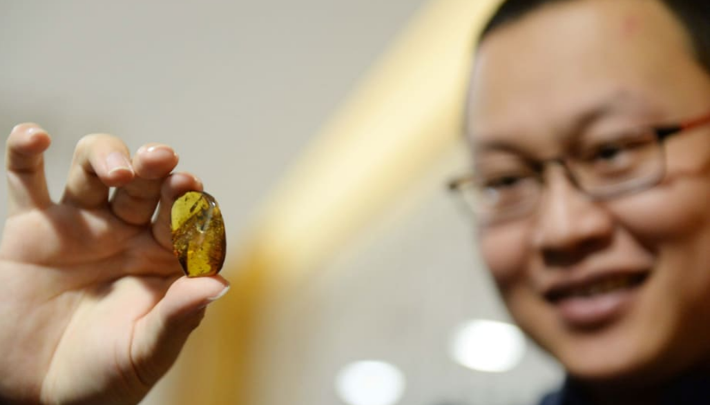 Những lầm tưởng của con người về loài khủng long mà đến các nhà khoa học cũng phải "chịu thua"