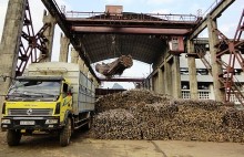 Cổ phiếu CBS gây sốc khi tăng 402% từ đầu tháng 9 đến nay