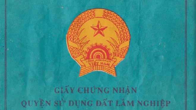 Sổ xanh là gì? Đất sổ xanh có được chuyển nhượng được không?