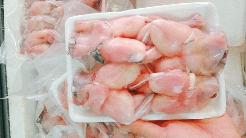 Sản phẩm xuất khẩu Việt Nam tiếp tục bị Liên minh Châu Âu cảnh cáo Sản phẩm xuất khẩu Việt Nam tiếp tục bị Liên minh Châu Âu cảnh cáo