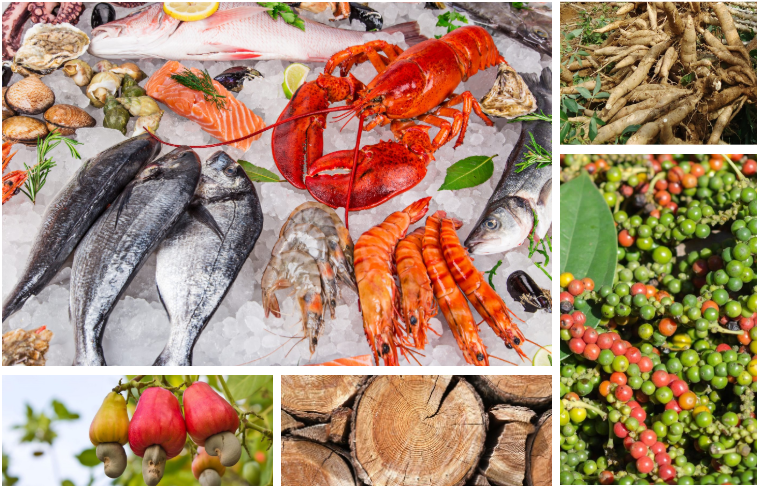 Xuất khẩu nông, lâm, thuỷ sản đạt hơn 43 tỷ USD