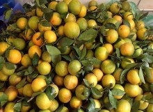 Giá thịt lợn, rau củ quả ngày 3/12: Thịt lợn ổn định, cam Vinh theo mít Thái giảm sâu