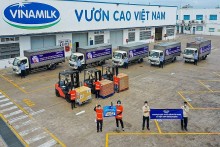 Vinamilk 6 lần liên tiếp được vinh danh trong Top 10 doanh nghiệp phát triển bền vững nhất Việt Nam Vinamilk 6 lần liên tiếp được vinh danh trong Top 10 doanh nghiệp phát triển bền vững nhất Việt Nam