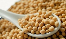Nhập khẩu đậu tương 11 tháng năm 2021 đạt trên 1,06 tỷ USD