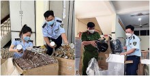 Phú Yên tạm giữ lô thực phẩm và hàng gia dụng vi phạm trị giá 1,2 tỷ đồng