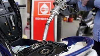 Giá xăng dầu hôm nay 22/10: Chưa cắt đà giảm