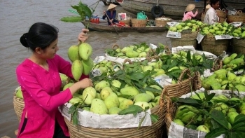 Tiền Giang lên kế hoạch xuất nhập khẩu năm 2021