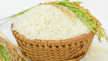 Vì sao Việt Nam nhập gạo từ Ấn Độ?