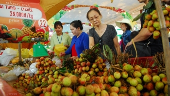 Tiền Giang: Xuất khẩu trái cây gặp khó, bán rẻ vẫn ế