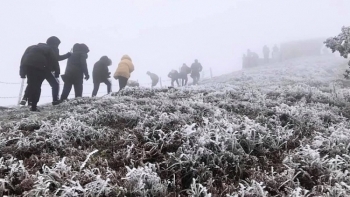 Rét hại kéo dài khiến các tỉnh phía Bắc thiệt hại hàng tỷ đồng