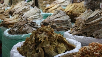 Gần Tết, thực phẩm khô đồng loạt tăng giá