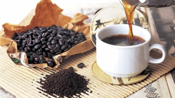 Giá cà phê hôm nay 14/1: Tăng 500 đồng/kg