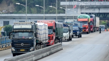 Hết năm 2020, xuất khẩu qua cửa khẩu An Giang đạt hơn 1.300 triệu USD