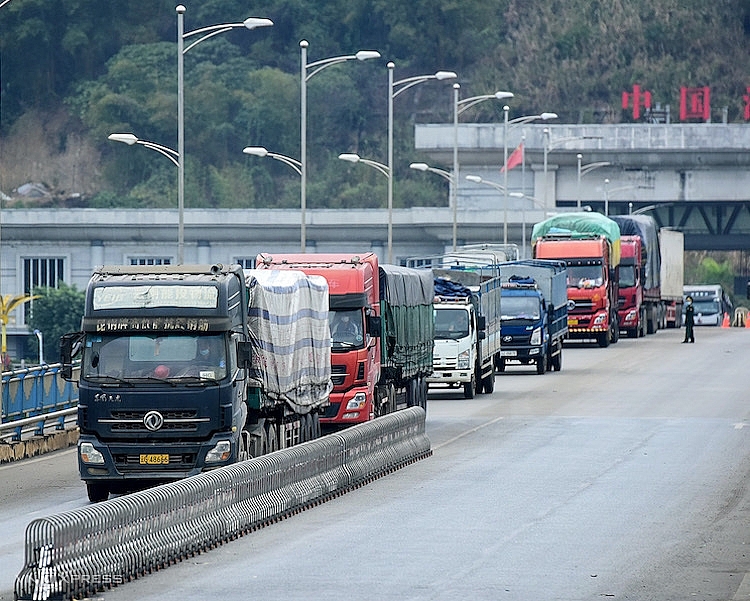 Hết năm 2020, xuất khẩu qua cửa khẩu An Giang đạt hơn 1.300 triệu USD