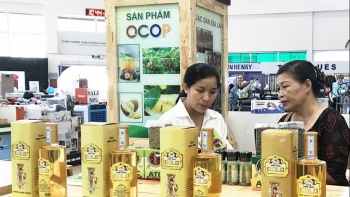 Sản phẩm OCOP Đăk Đoa vươn ra thị trường lớn