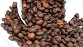 Giá cà phê hôm nay 21/1: Trượt dốc