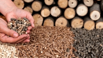 Việt Nam xuất lô gỗ sinh khối đầu tiên sang Nhật Bản