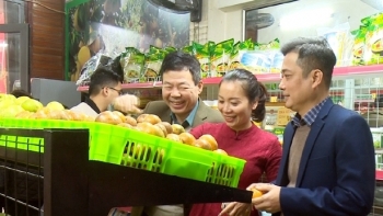 TP Hà Tĩnh khai trương cửa hàng nông sản an toàn