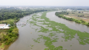 TP Hồ Chí Minh lên kế hoạch dời điểm lấy nước thô để tránh ô nhiễm