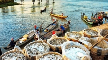 Kết nối, thúc đẩy du lịch khu vực ĐBSCL năm 2021