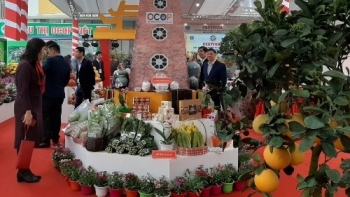 Hà Nội lên kế hoạch tổ chức Festival sản phẩm nông nghiệp và làng nghề