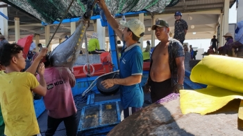 Năm 2021, Phú Yên tập trung phát huy lợi thế kinh tế biển