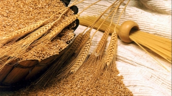 Nông sản Việt đồng loạt tăng giá trong phiên cuối tuần