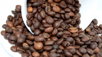 Giá cà phê hôm nay 31/1: Nhích nhẹ so với đầu tuần