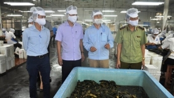 Lào Cai siết chặt kiểm tra an toàn thực phẩm dịp Tết