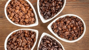 Giá cà phê hôm nay 4/2: Tăng mạnh