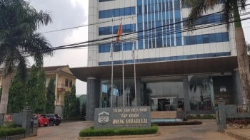 Lần đầu nuôi lợn, Hoàng Anh Gia Lai thu về trăm tỷ đồng